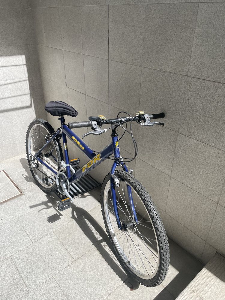 Bicicleta FDR 02