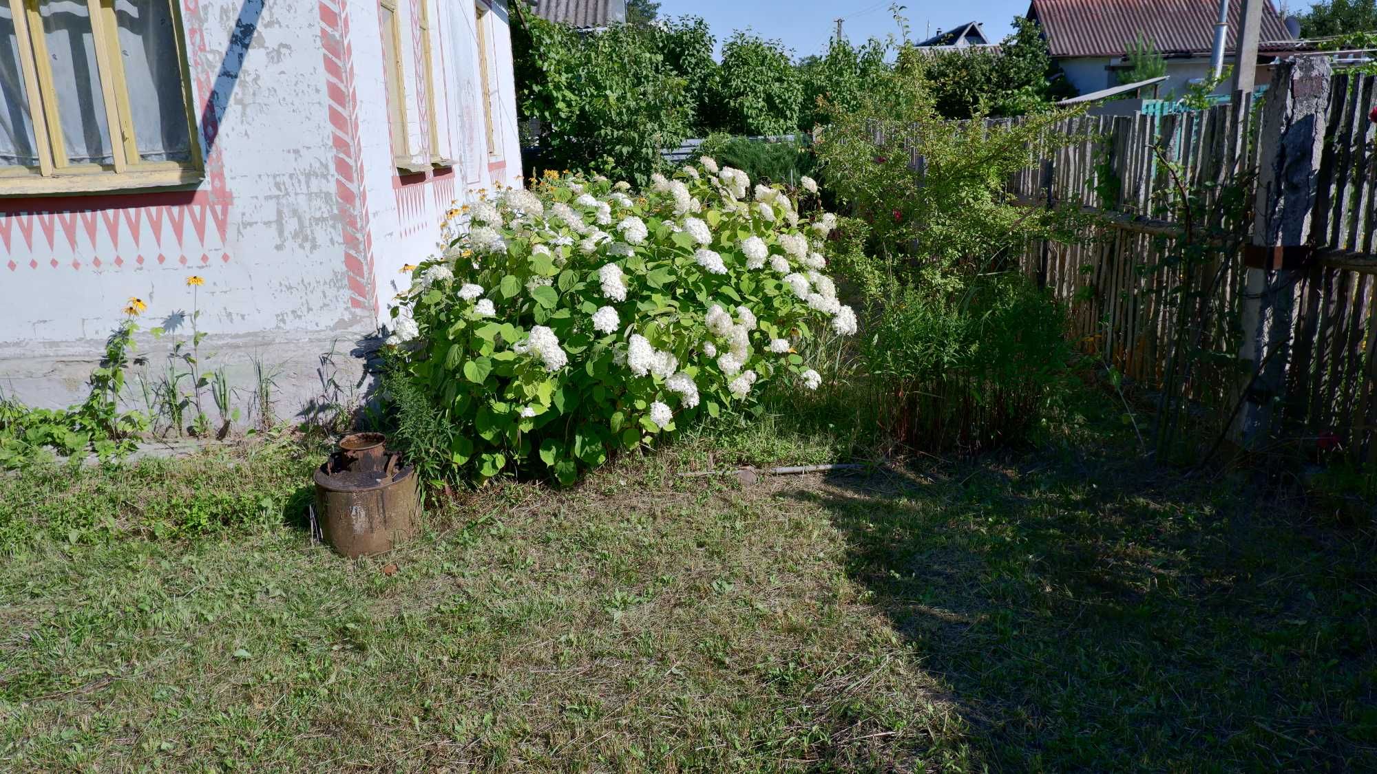 Дача, СТ "Озерное", Мекшуновка, Славутич