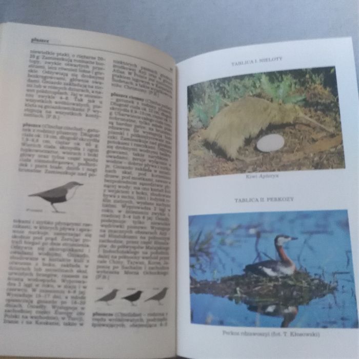 mały słownik zoologiczny ptaki tom 2