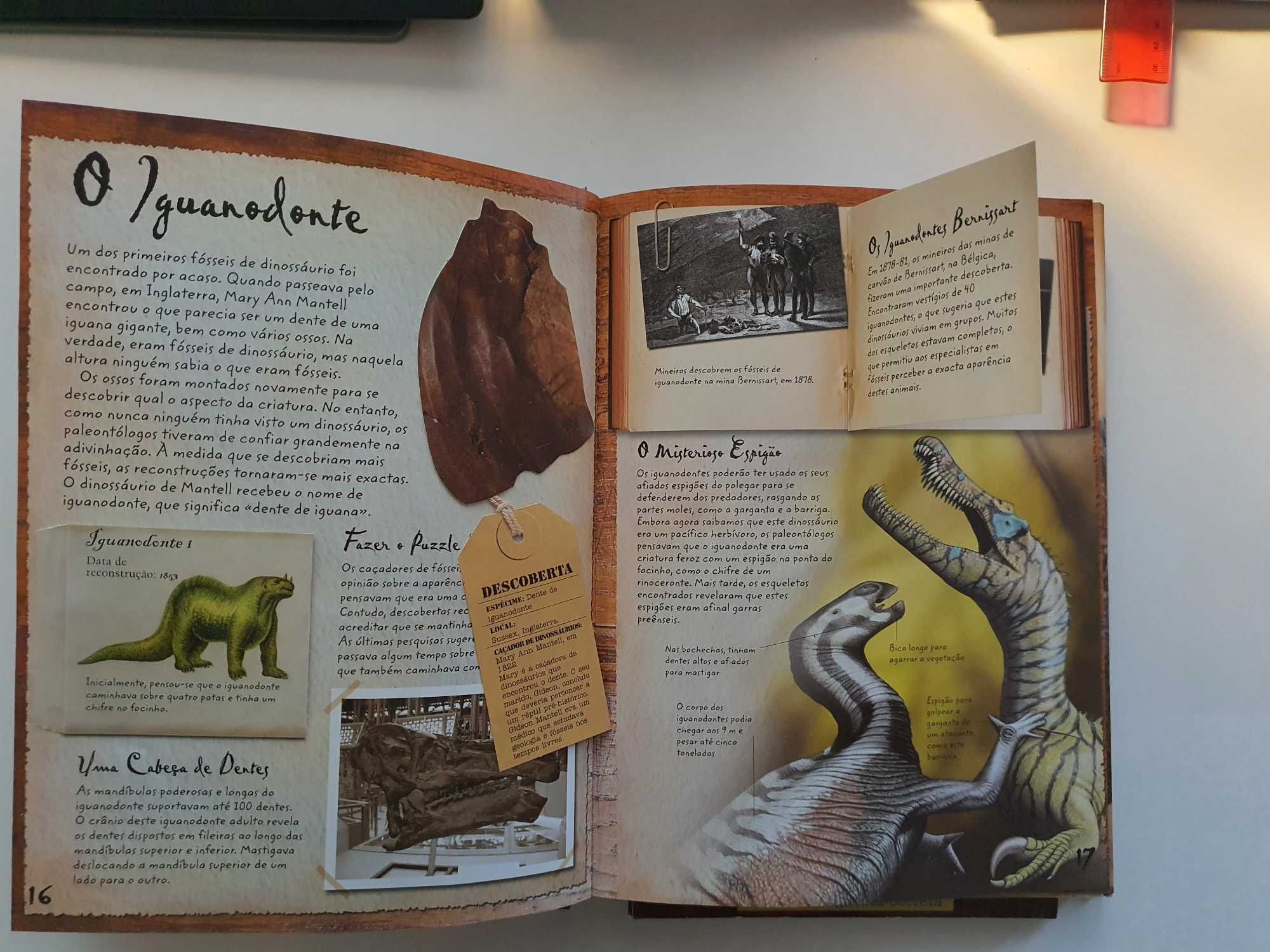 Livro Caçadores de Dinossáurios