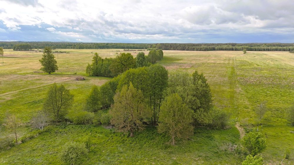 SPRZEDAM ŁADY Domek  Wizany Wielkopolska