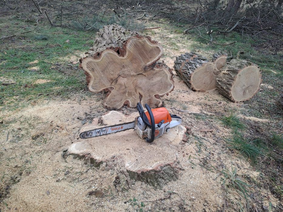 Wycinka drzew oraz karczowanie działek
