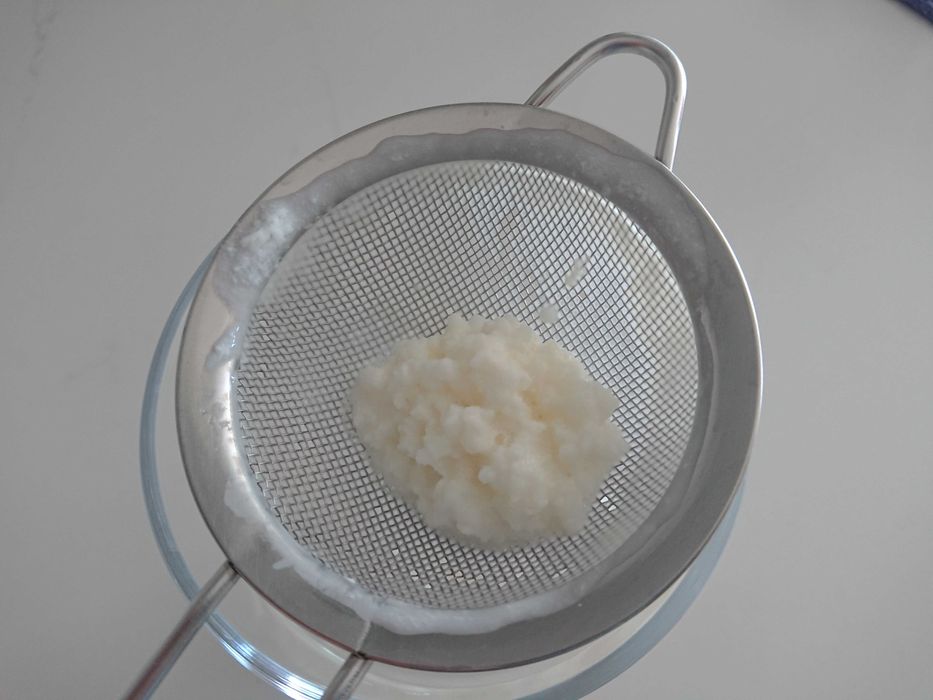 Kefir de leite probiótico caseiro