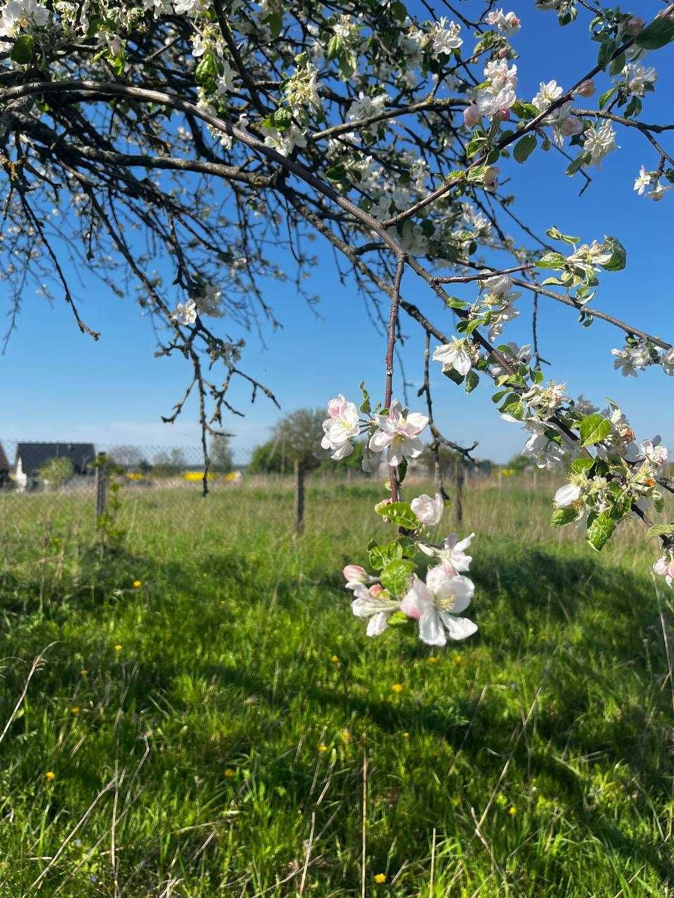 Продаж земельної ділянки під забудову, передмістя Луцька