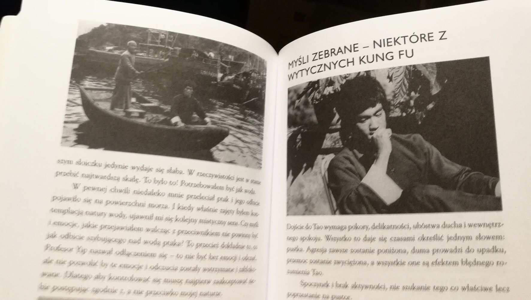 Bruce Lee Tao Kung Fu. Studia nad metoda Chinskiej sztuki