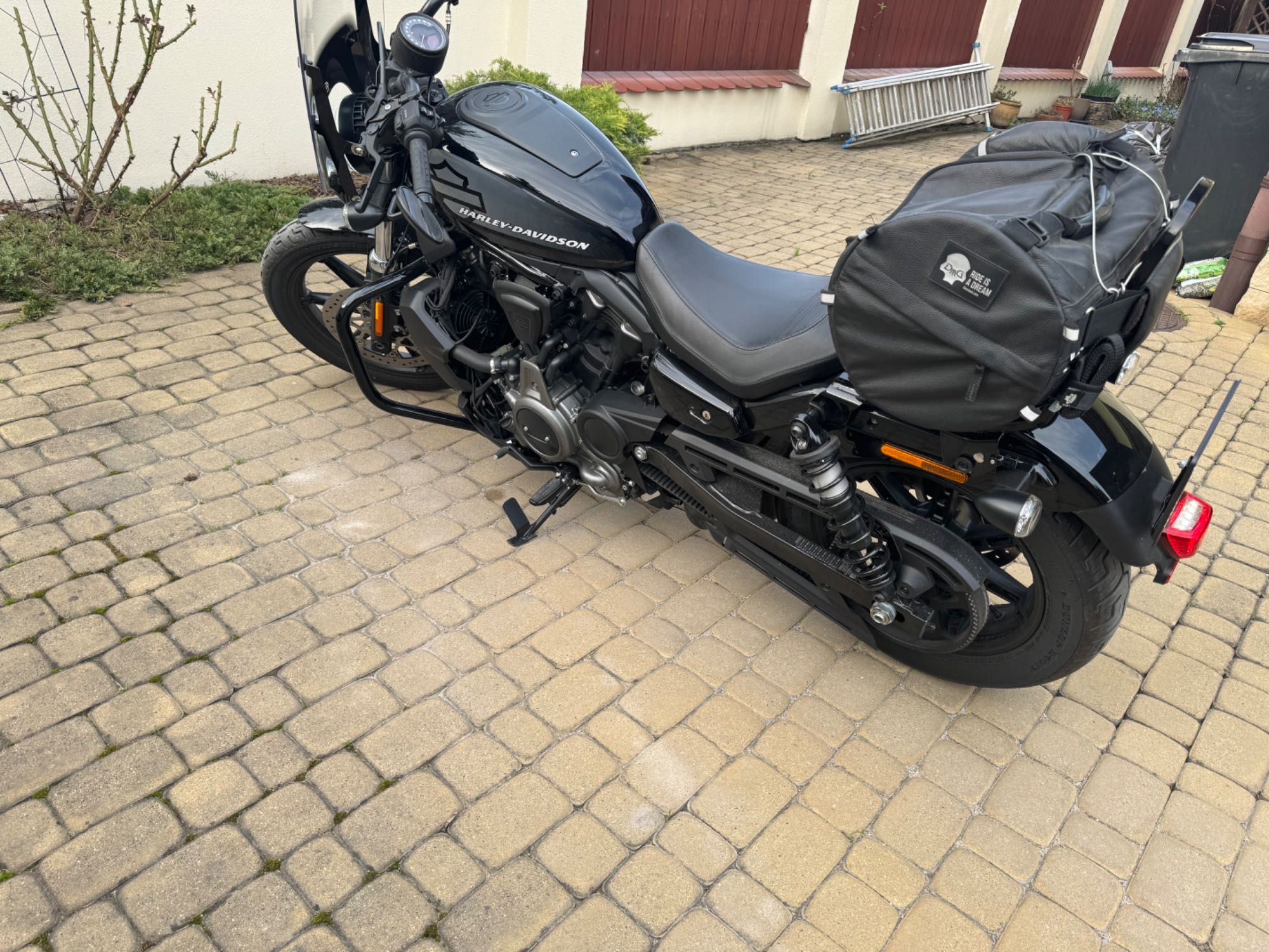 Harley Davidson Sportster Nighster 2022 kupiony w Polsce