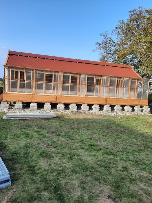 Golebnik ogrodowy