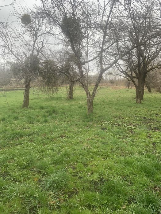 Продаж будинку та землі вул Тарасівська