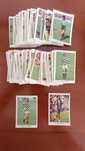 Cromos Futebol 77 A grande Seleção