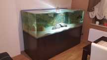 Akwarium 960L 200x80x60 + Sump + Szafka