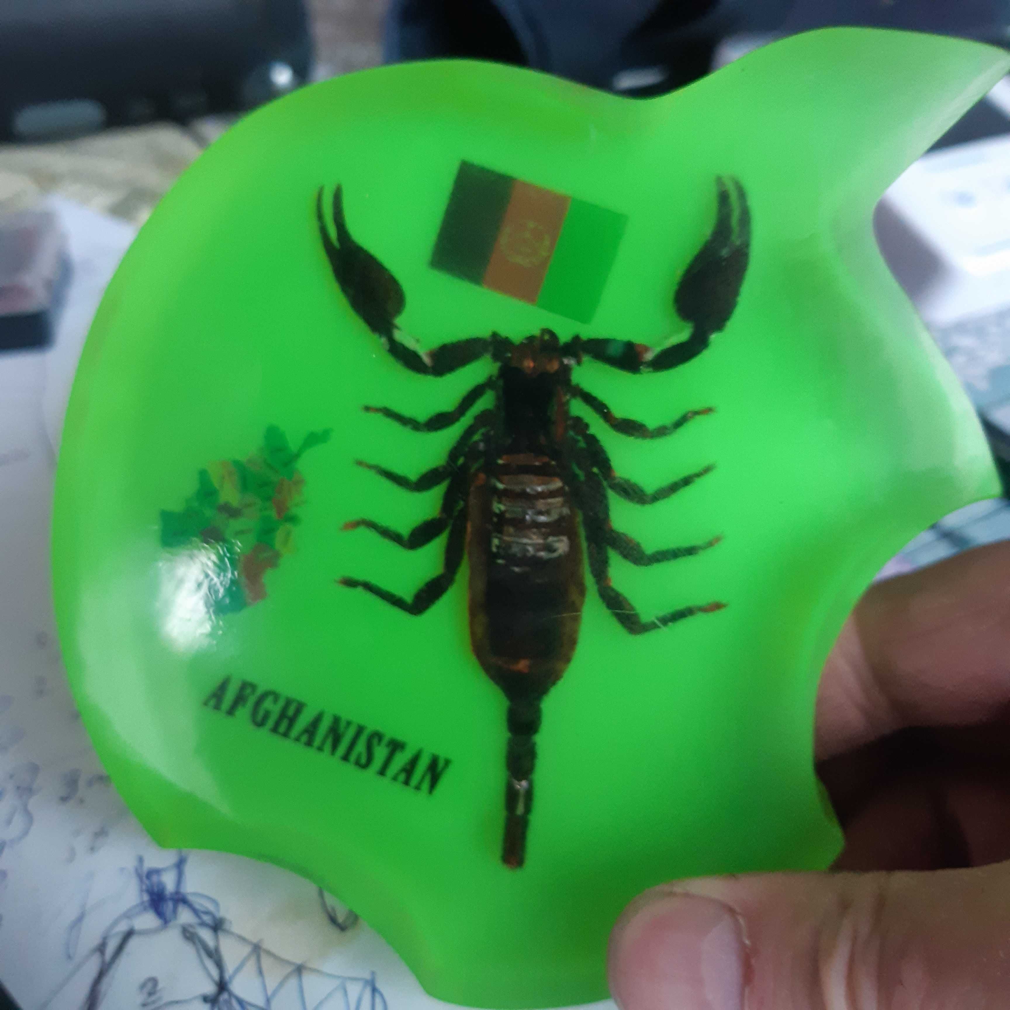 Skorpion pamiątka z Afganistanu