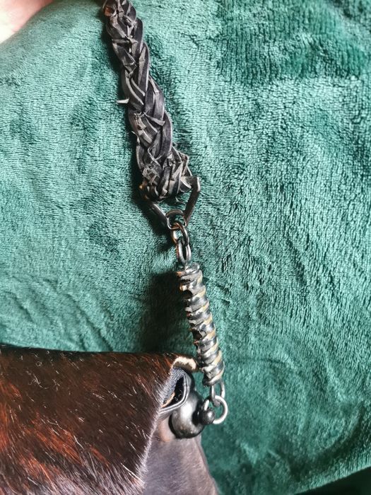 Mala em pele castanho