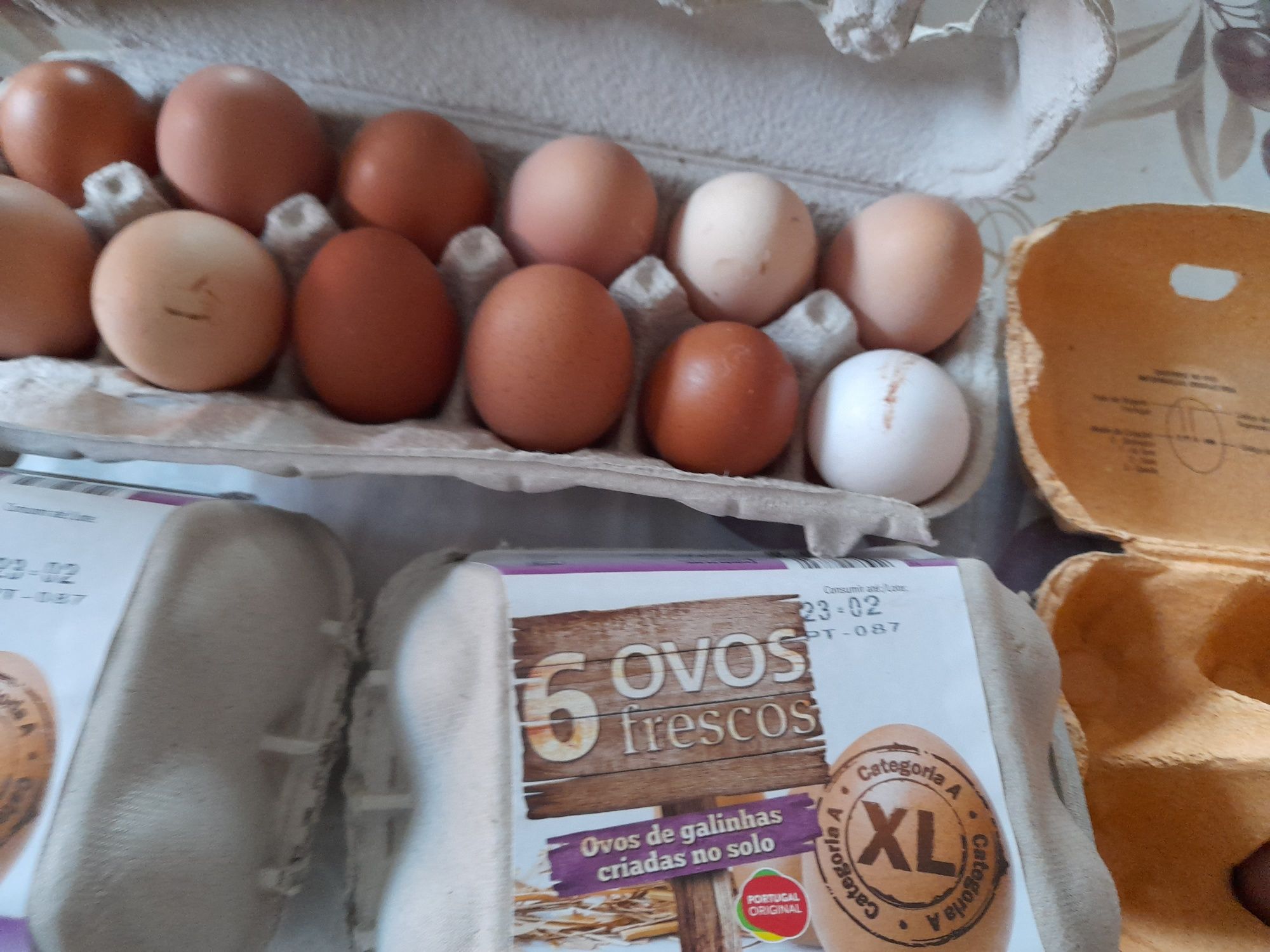 Ovos caseiros biológicos-3,0€ a dúzia'