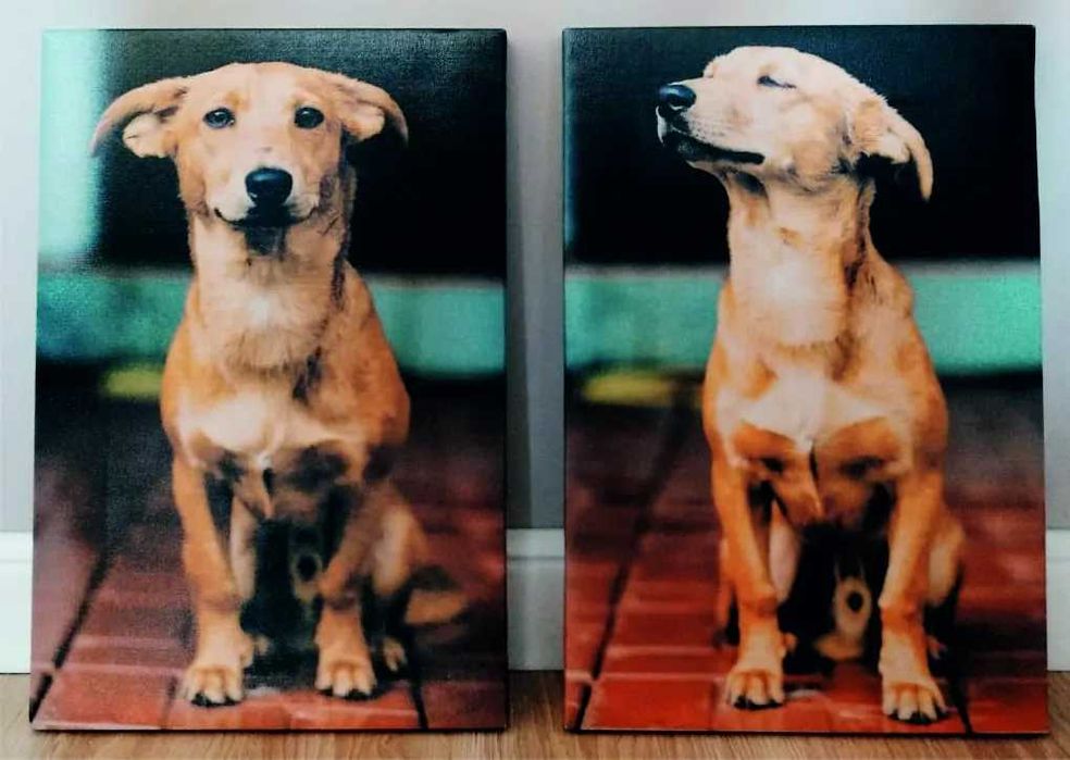 Картини на полотні холсті Друк корекція ретуш Відновлення фото