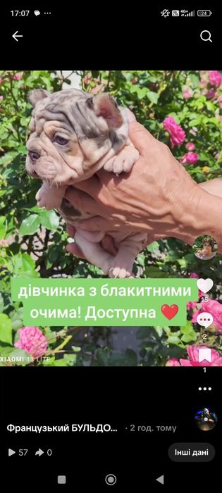 Дівчинка Біг Роп носій флаффі.