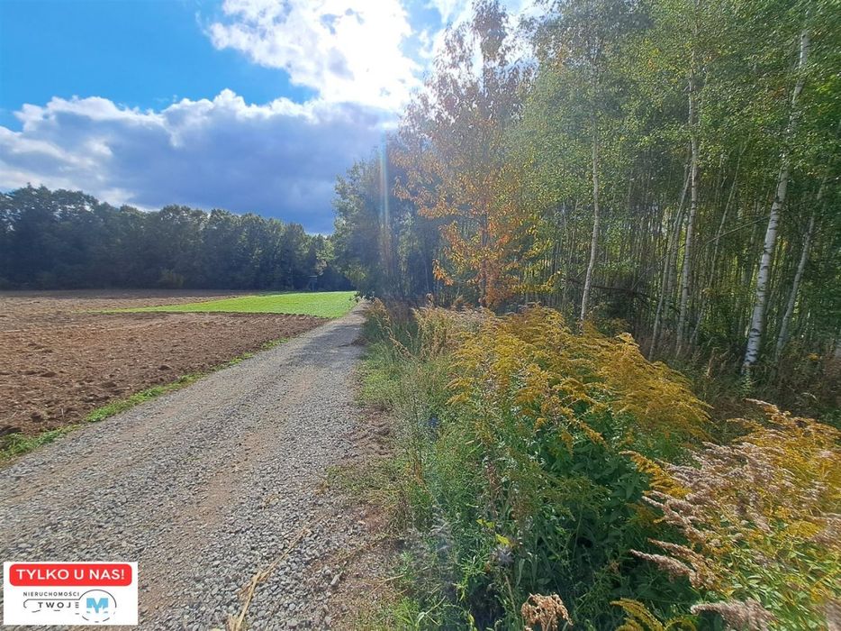 Działka pod zabudowę w otoczeniu lasu!