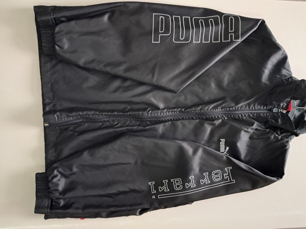 Вітровка Puma Ferrari.