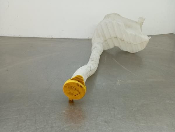 Reservatório / depósito água limpa vidros RENAULT Master III Chassis (