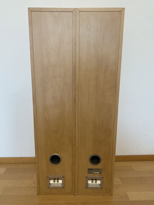 Акустика колонки Magnat Motion 1000