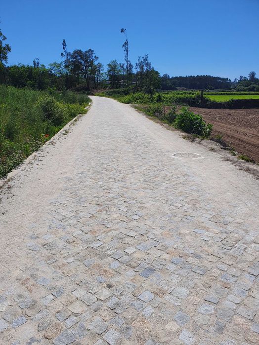 Terreno Agricola em Tougues