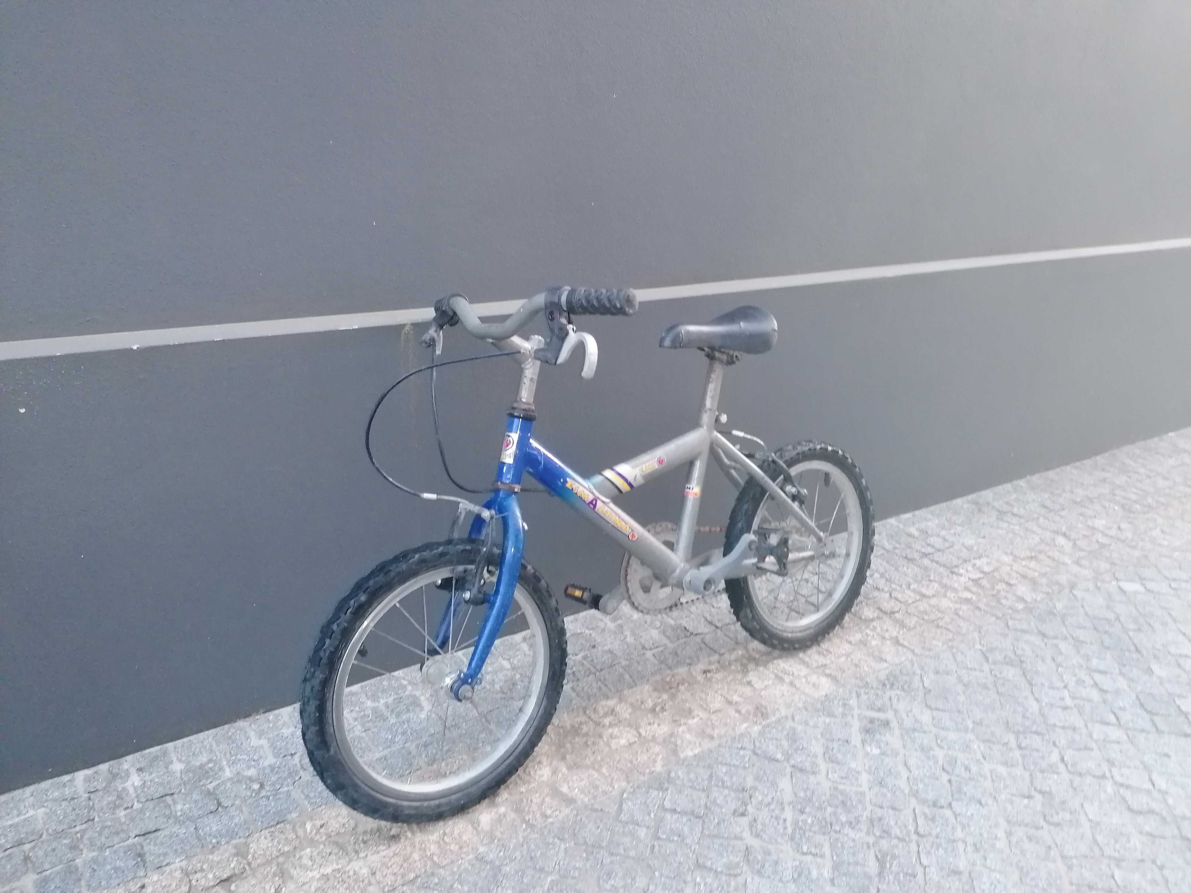 Bicicletas para todas as idades