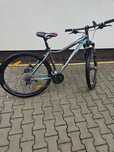Specialized L/19