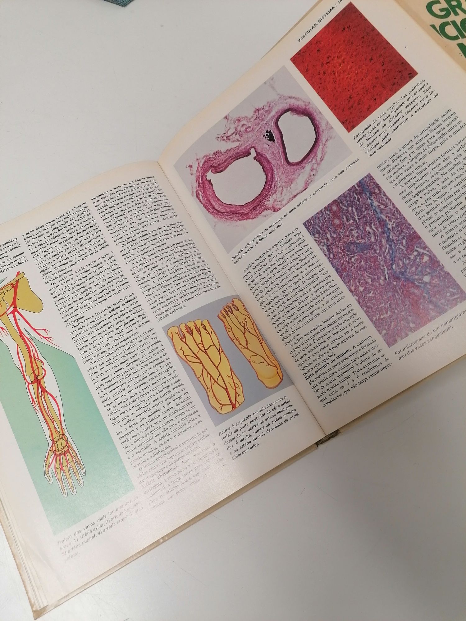 Coleção Livros Grande Enciclopédia Médica - Completa 6 Volumes
