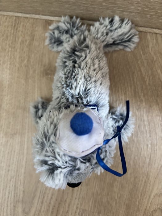 Pluszowa foka zabawka