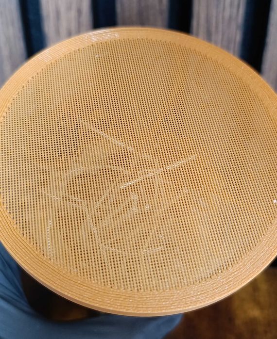 Не літаюча дрозофіла хідея, мошка, плодова муха. мелангастер