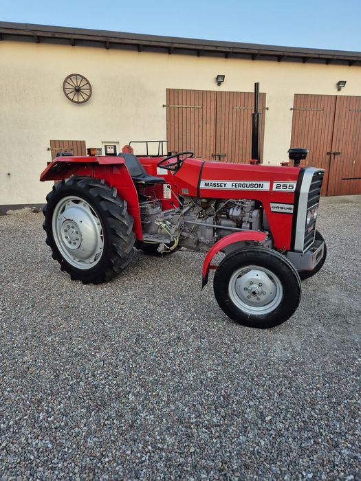 URSUS MF 255 Stan bdb.