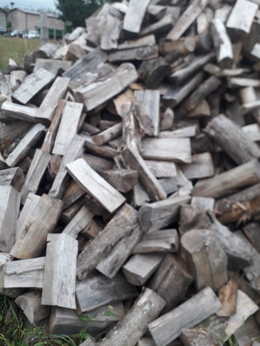Drewno kominkowe klon grube z transportem