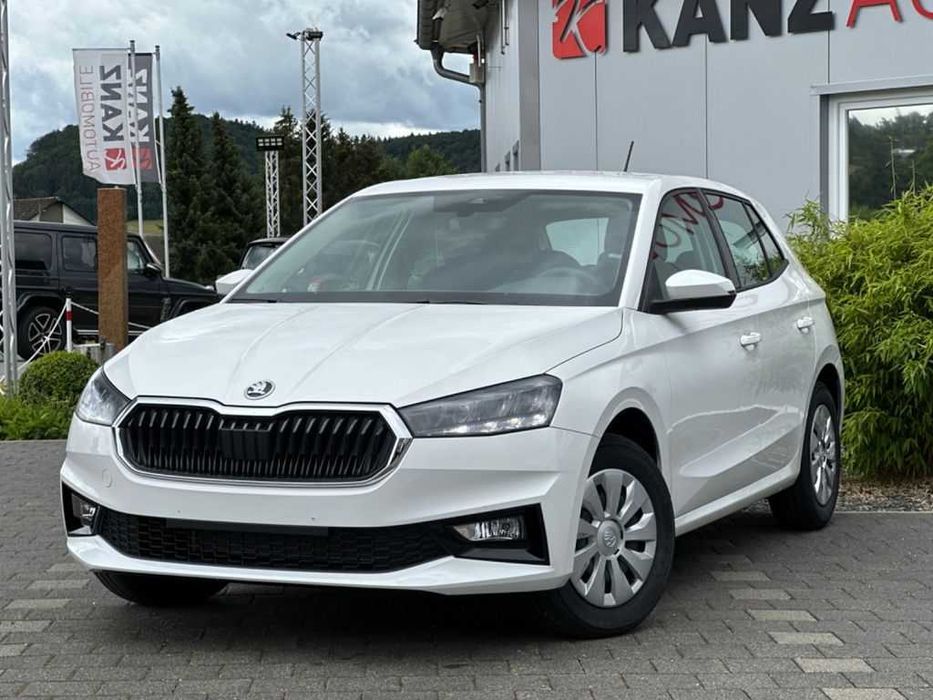 Разборка Skoda Fabia I/II/III дверь фара крыло капот бампер ляда стоп