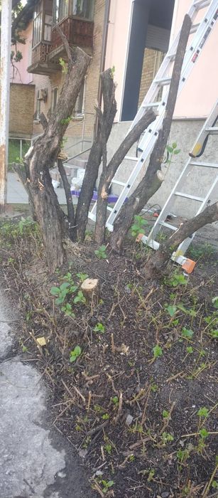 Благоустрій розчистка участка уборка покосити бур'ян зрізати дерево