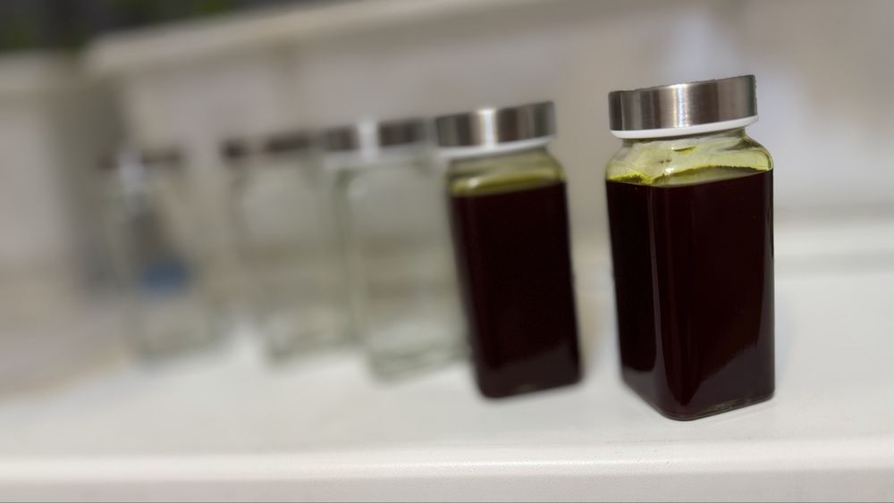 Габузова олія домашня