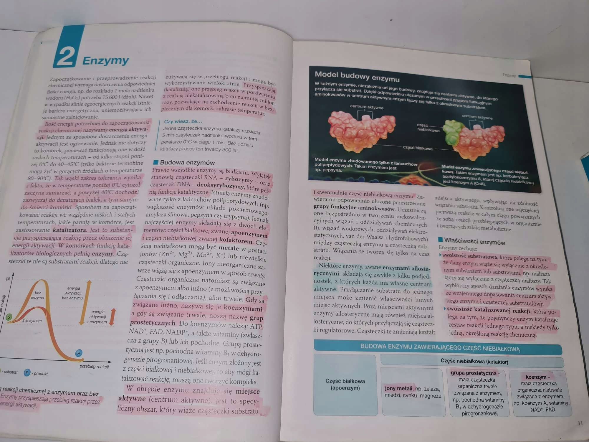 Biologia na czasie 1-3 1,2,3 Rozszerzenie Nowa Era liceum po gimnazjum