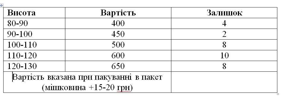 Кипарисовик, ялівець скельний Блю Аров, гортензії, туя смарагд
