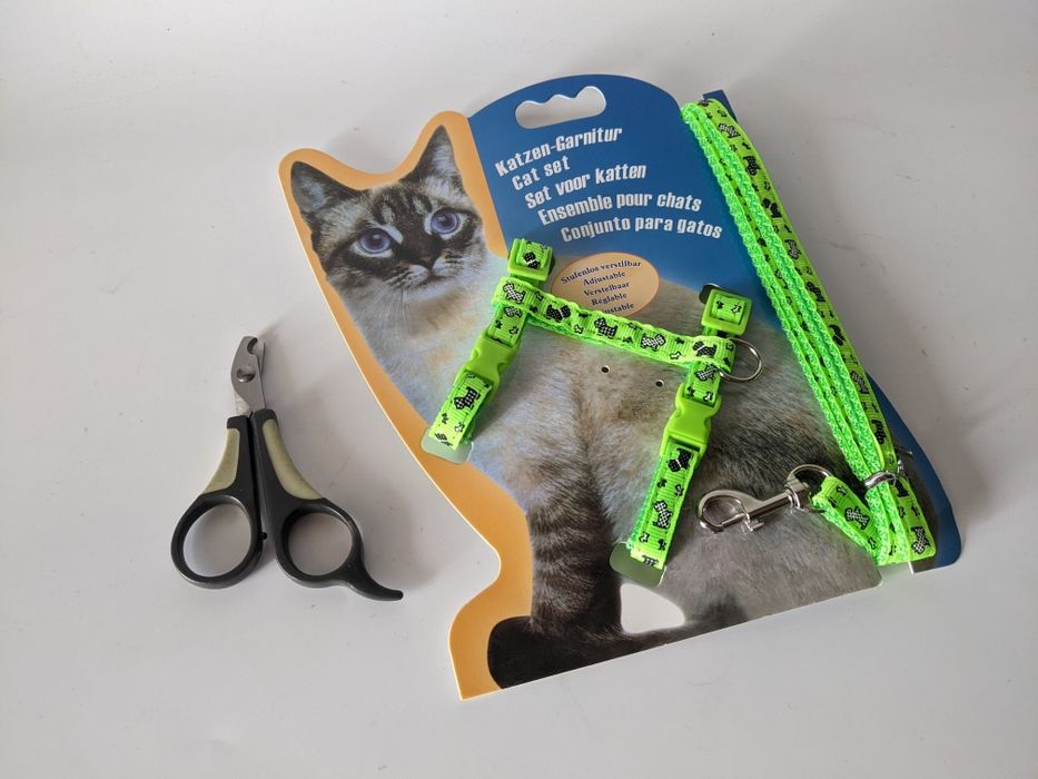 Поводок і ножиці для котиків