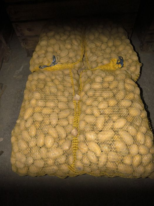 Ziemniaki Queen Anna