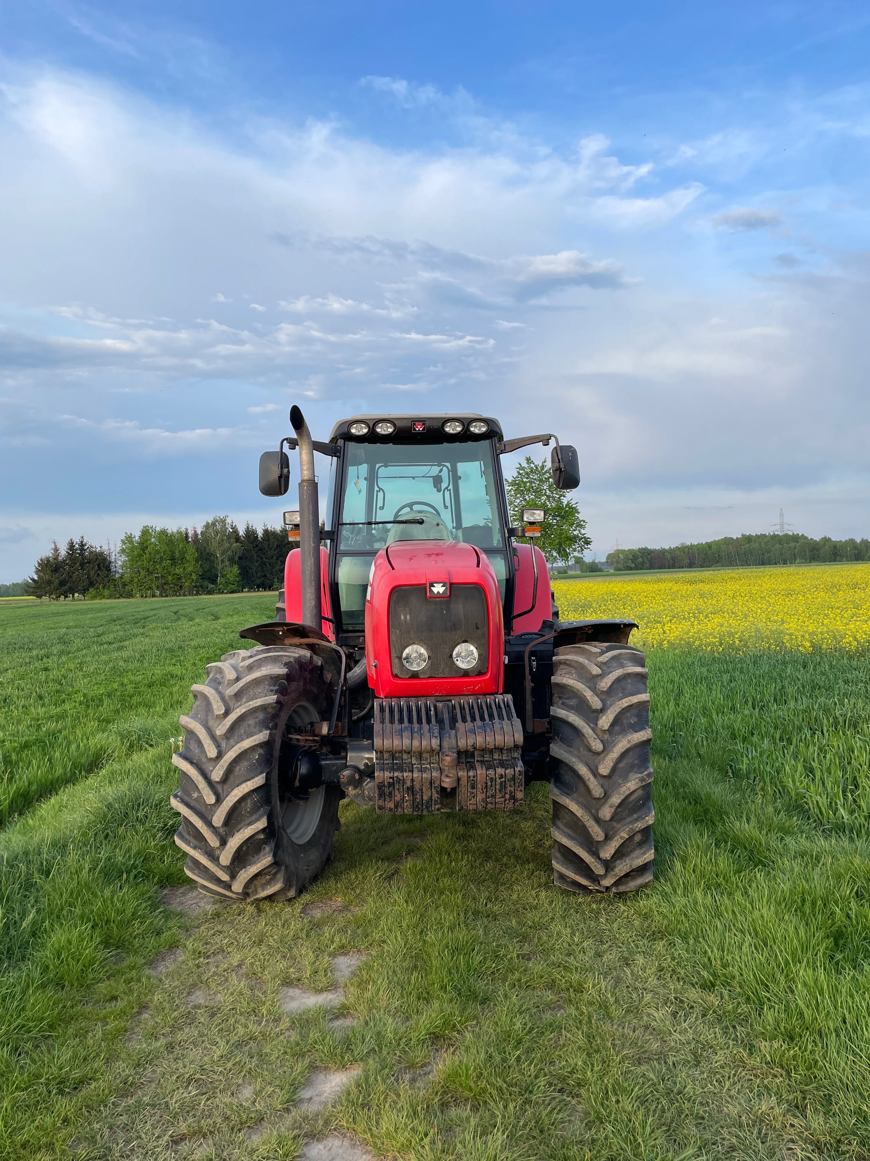 Massey Ferguson 6499