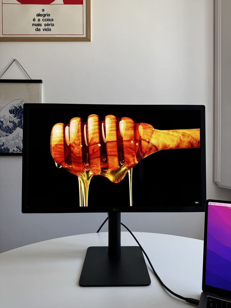 Monitor LG Ultrafine 4K 22MD4KA-B Mac OS