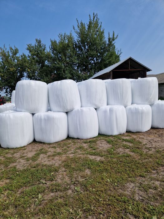 Sianokiszonka bardzo dobrej jakości