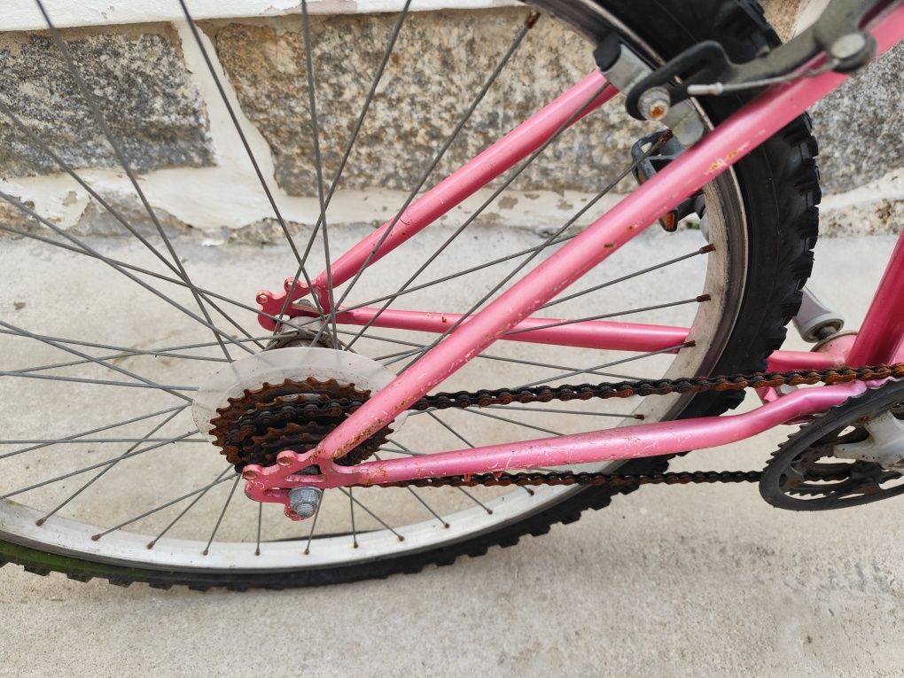 Bicicleta de adulto