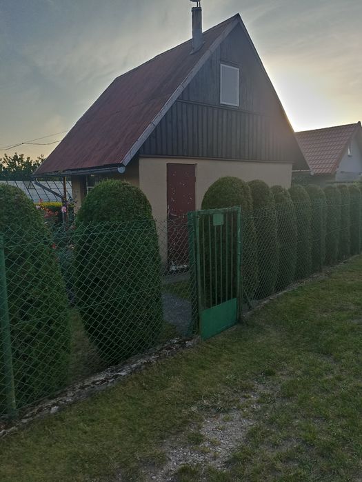 Działka ROD "Kormoran" w Giżycku