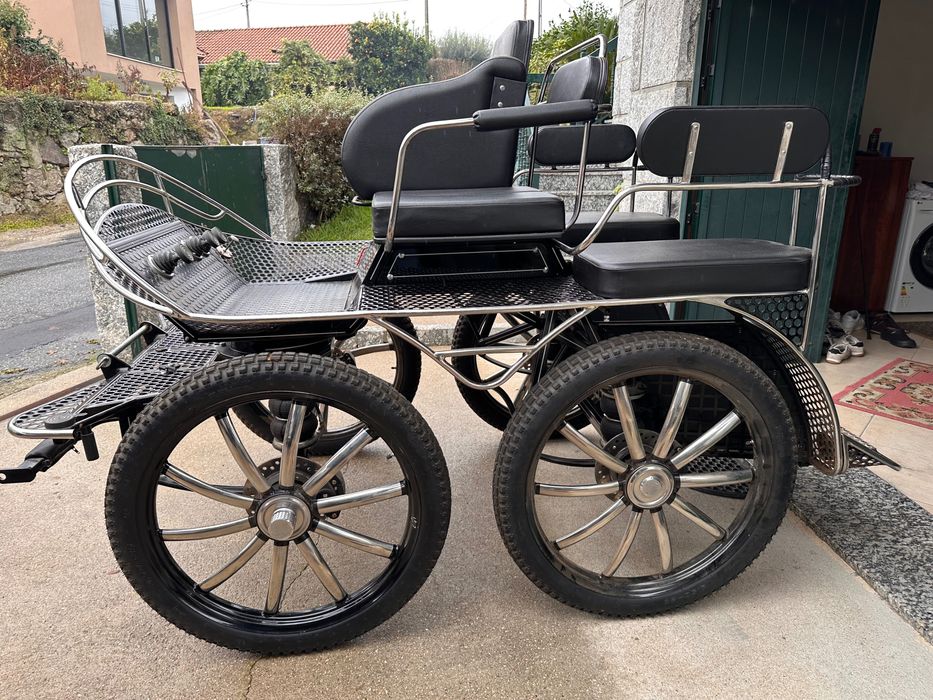 Charrete maratona pneumática com travão a lança