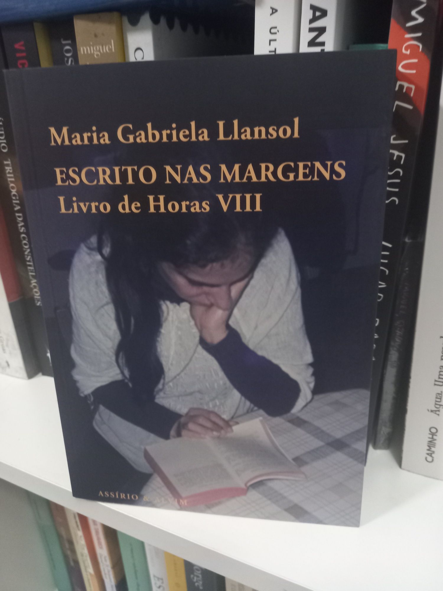 Escrito nas Margens - Livro das Horas VIII