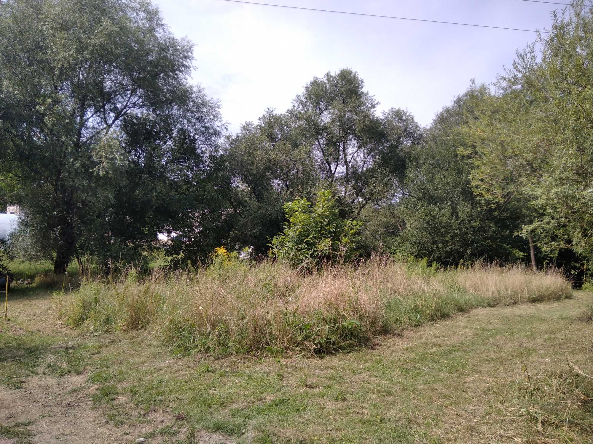 Pielęgnacja ogrodów/Wycinka drzew/Przycinanie żywopłotów, tui.