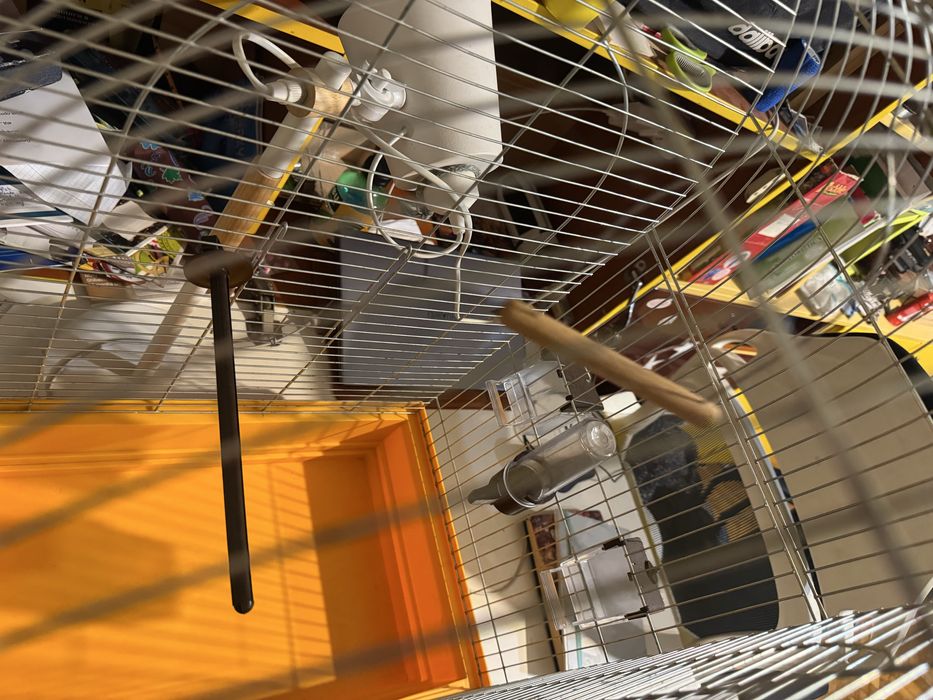 Велика клітка для папуги кенара