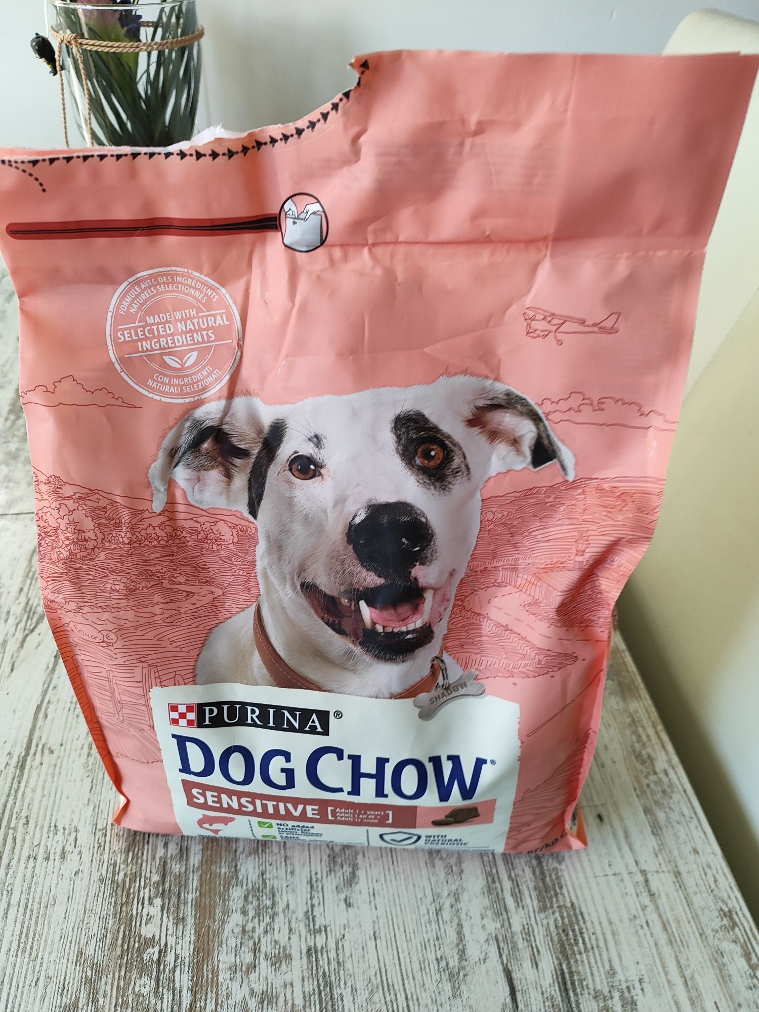 Purina DogChow Sensitive