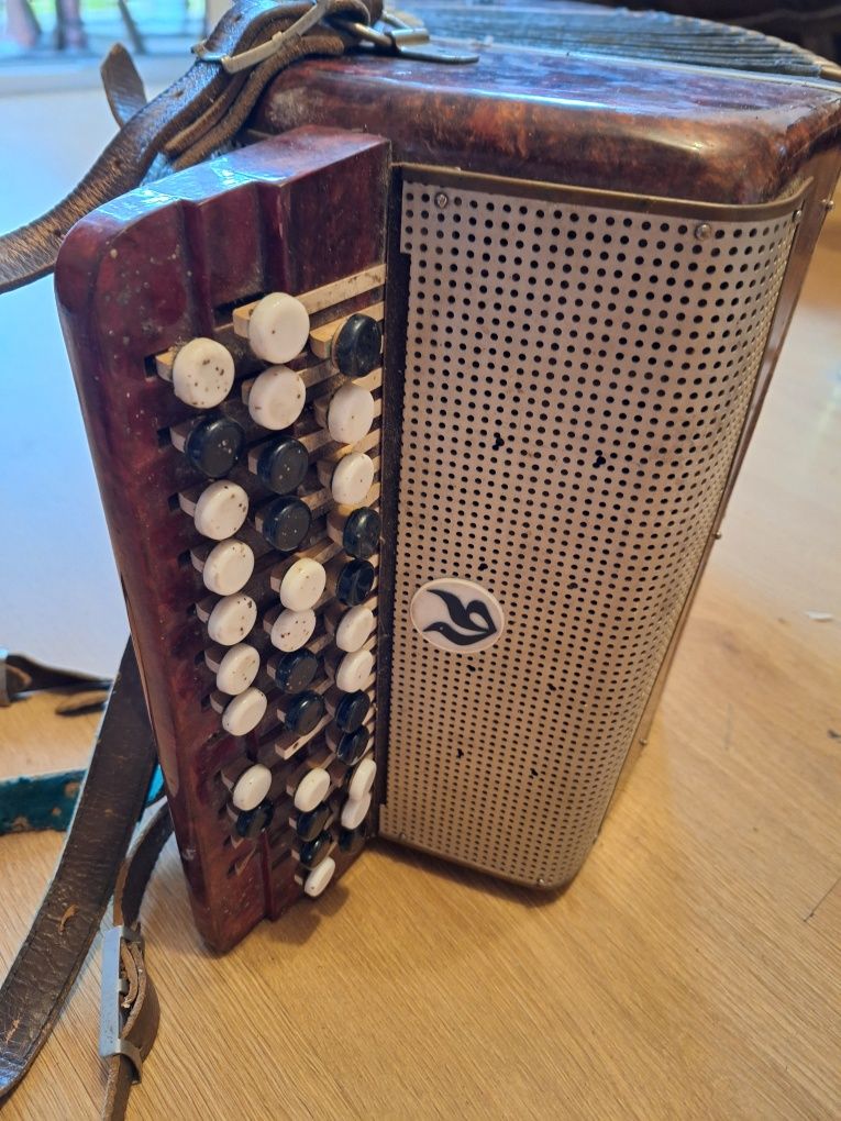 Harmonia guzikowa, akordeon