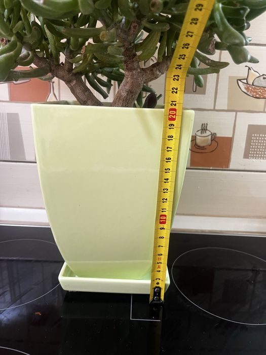 Горщик для квітів вазон